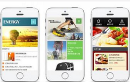 東方智啟科技APP開發-快消品行業手機軟件開發