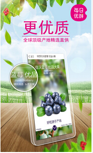 東方智啟科技APP開發-生鮮電商O2OAPP開發如何抓住萬億級市場商機