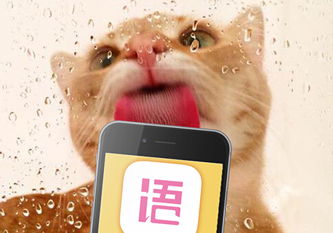 東方智啟科技APP開發-靈魂社交app開發 做一個有靈魂的人