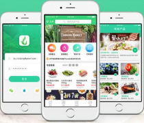 東方智啟科技APP開發-食材配送app開發到底有多大的商機