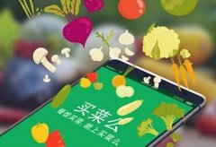 東方智啟科技APP開發-家庭買菜app開發  實用的買菜攻略