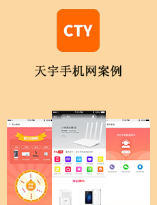 天宇手機網案例