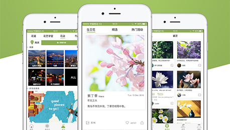 東方智啟科技APP開發-植物識別APP開發帶你認識天下植物花卉