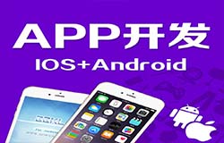 東方智啟科技APP開發-專業的APP開發公司大概多久能開發一個APP