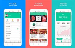 東方智啟科技APP開發-開發智能養牛APP  實現精準養殖