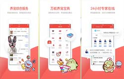 東方智啟科技APP開發-專用的寵物打車軟件開發 帶動新型消費市場