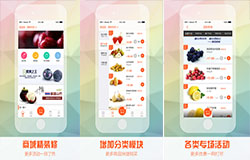 東方智啟科技APP開發-鮮直達app點評 鮮直達app如何