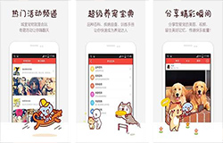 東方智啟科技APP開發-寵物APP開發 讓鏟屎官成為養寵專家