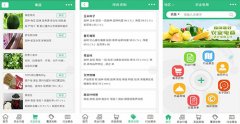 東方智啟科技APP開發-開發農業電商小程序能帶來什么