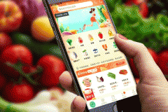 東方智啟科技APP開發-實惠的生鮮平臺APP開發提供上乘商品